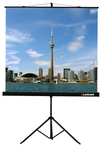 89" Экран для проектора Lumien Eco View LEV-100105