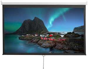 108" Экран для проектора Digis Optimal-D DSOD-16905