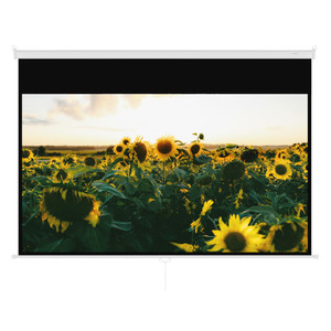 100" Экран для проектора Rombica Screen PR-A100