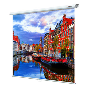 100" Экран для проектора Lumien Eco Picture LEP-100102