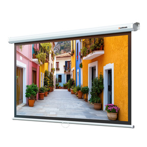 90" Экран для проектора Lumien Eco Picture LEP-100122
