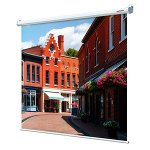 111" Экран для проектора Lumien Eco Picture LEP-100103