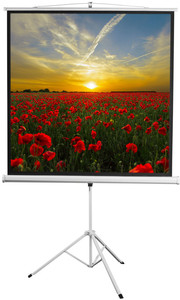 84" Экран для проектора Digis Kontur-D DSKD-1103