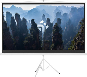 100" Экран для проектора DEXP TMD-100