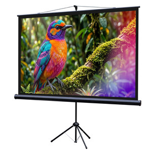 100" Экран для проектора Lumien Eco View LEV-100115