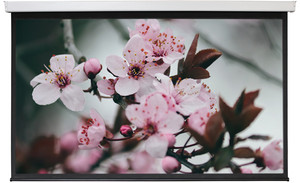 150" Экран для проектора Digis DSEF-16907