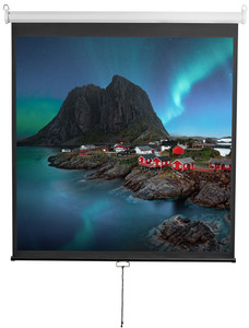 112" Экран для проектора Digis Optimal-D DSOD-1105