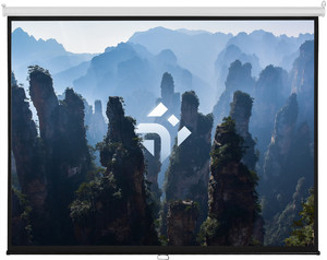 120" Экран для проектора DEXP WE-120